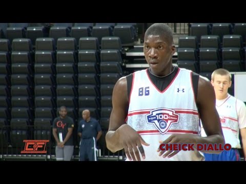 Cheick Diallo Summer Mixtape