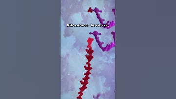 Ribosome: the "most sophisticated machine ever made" #science #dna #cmi