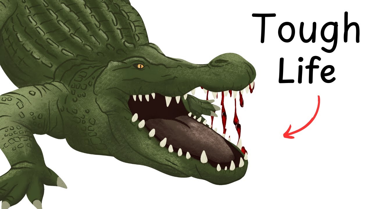 Why It Sucks to Be Born as an Alligator
