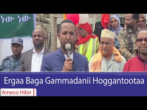 AMECO HIBIR Ergaa Baga Gammadanii Hoggantootaa 04 13 2017
