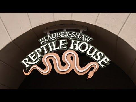 •REPTILE HOUSE• San Diego Zoo - YouTube