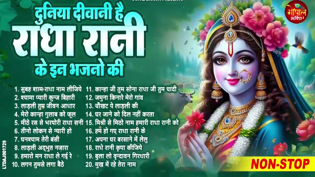 दुनिया दीवानी है श्री राधा रानी के इस भजन की || 2024 Radha Rani Bhajan || Radha Rani Ke Bhajan 2024