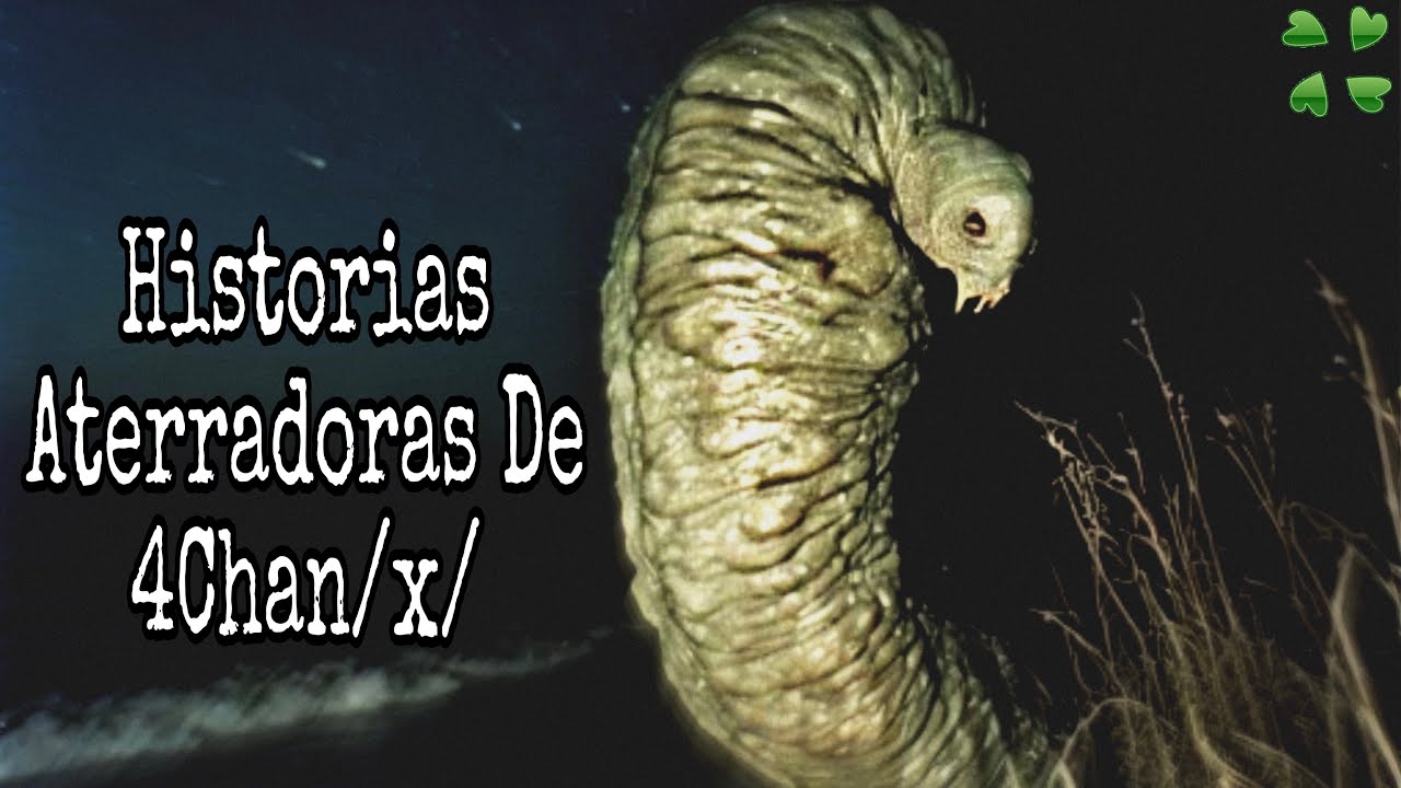 HISTORIAS ATERRADORAS DE 4CHAN /x/(BOSQUES Y CRIPTIDOS)
