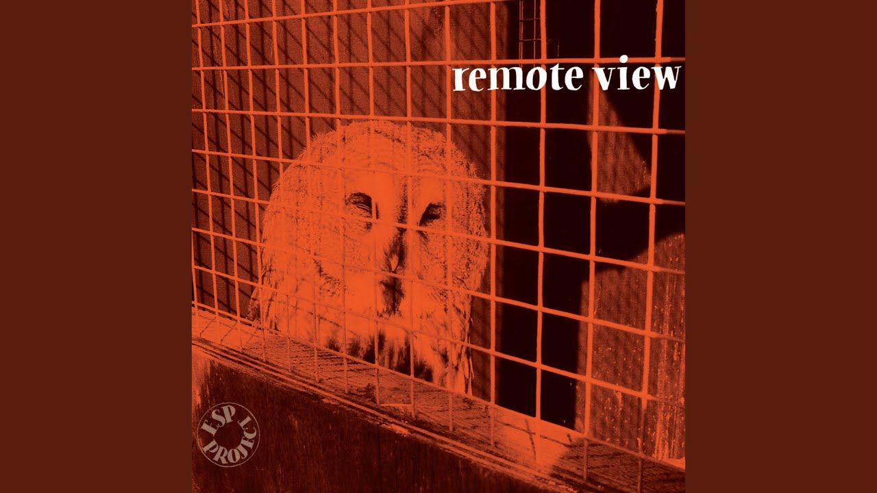 Remote View adlı videoyu YouTube'da izle Remote View adlı videoyu YouTube'da izle