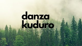 Danza Kuduro (Don Omar ft. Lucenzo) - REMIX Resimi