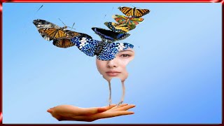 PicsKit Collage through Photos Butterfly Collage Thach Sane screenshot 5