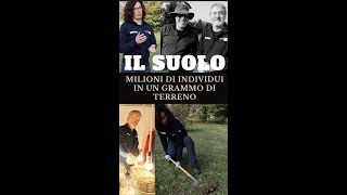 Sottoterra Viaggio Nelle Meraviglie Del Suolo Con Arpa E Domace