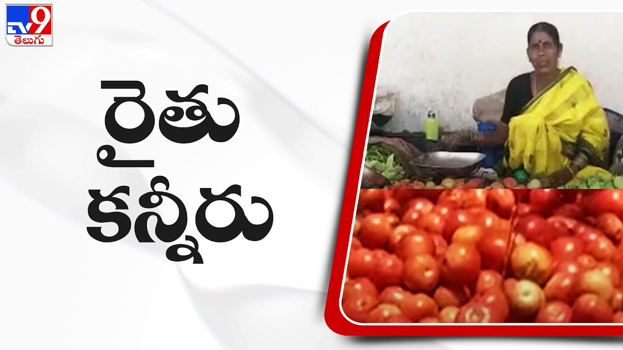 Tomato prices falls down | Telangana -TV9
