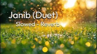 Janib (Duet) - Slowed & Reverb