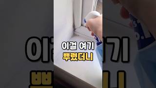 곰팡이 스트레스, 이걸로 끝났어요 #영국비건인증곰팡이제거제