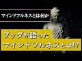 マインドフルネスとは何か？②〜仏教におけるマインドフルネス〜