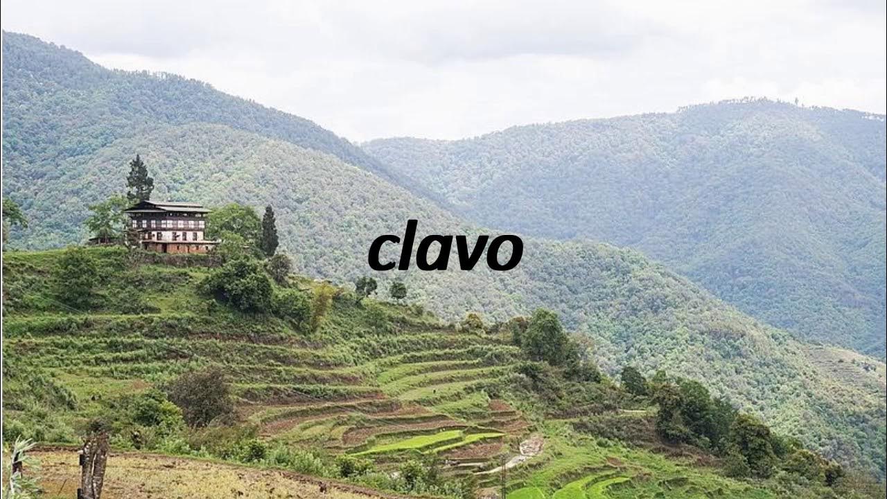 How to say clove in Spanish? clavo YouTube