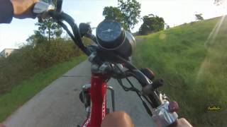 Ct110 (postie) wheelies + dirt session