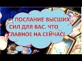 Послание Высших сил...Что надо знать именно сейчас..Главное Тиана Таро .Прогнозы и предсказания