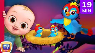 animal homes zoo friends sea otter blue whale animal songs