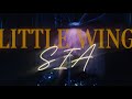 Sia Little Wing Live Version Visualizer mp3