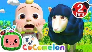 Baa Baa Black Sheep Karaoke 2 Hours Of Cocomelon Sing Along With Me Animal Songs For Kids