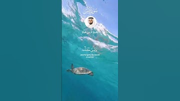 الشيخ فارس عباد  #قرآن #اكسبلور #قران_كريم  #explore #قران_راحة_نفسية #سورة_يس