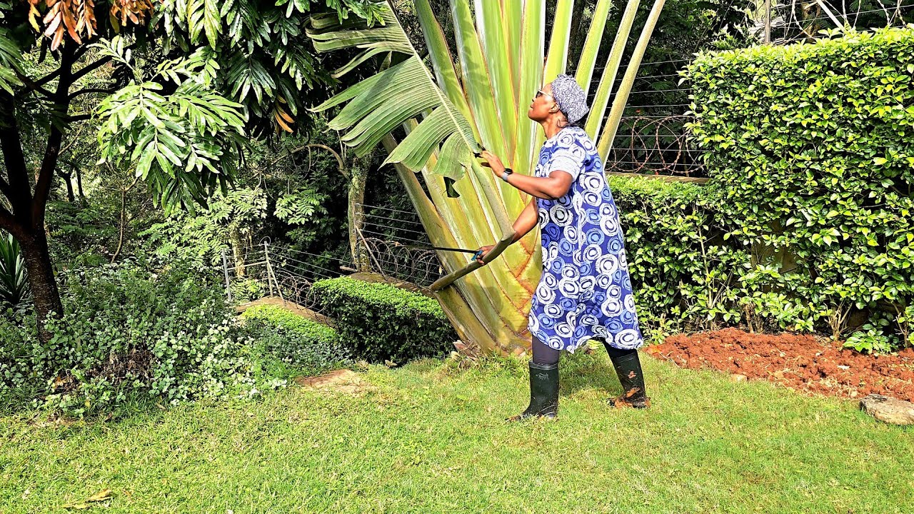 Doing This in his Memory and Where Did I Go Wrong | Life After Retirement 