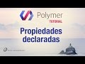 Polymer: Propiedades declaradas