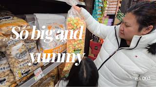 Griffiella family goes to an Asian market | lots of flavored chips