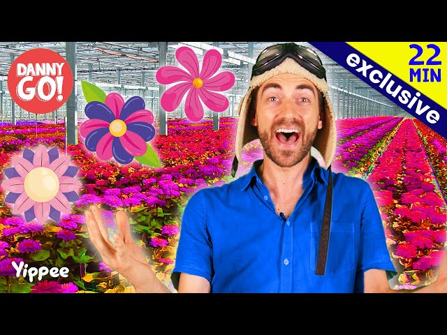Exploring a GIANT Greenhouse 🌺🌸🌷| Danny Go! Songs for Kids | FULL EPISODE | Yippee Kids TV class=