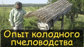 Колодное пчеловодство. Реальный опыт. Содержание пчел в колодах  Владимир Петрушев