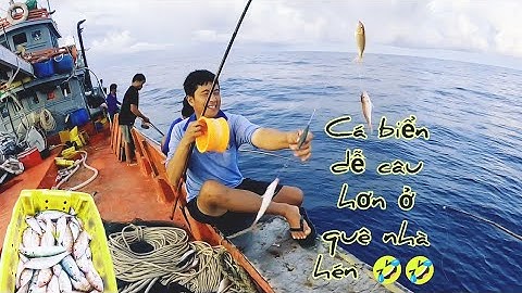 Cá đổng mà câu ăn liền tay thì cũng thấy ham lắm luôn | Đánh cá 2024 - Tập94 |Sóng biển Hứa Đông