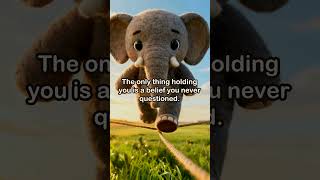 Details The Elephant and the Rope | Moral Story for Kids | Babyshakdadudu News