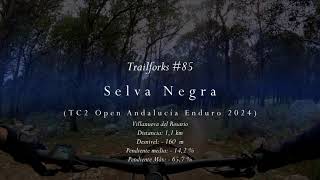 Trailforks #85 - Selva Negra (TC2 Copa Andalucia Enduro Villanueva del Rosario 2024)