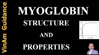 Myoglobin