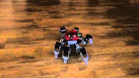 Raspberry PI Java Dynamixel fully wireless attempt