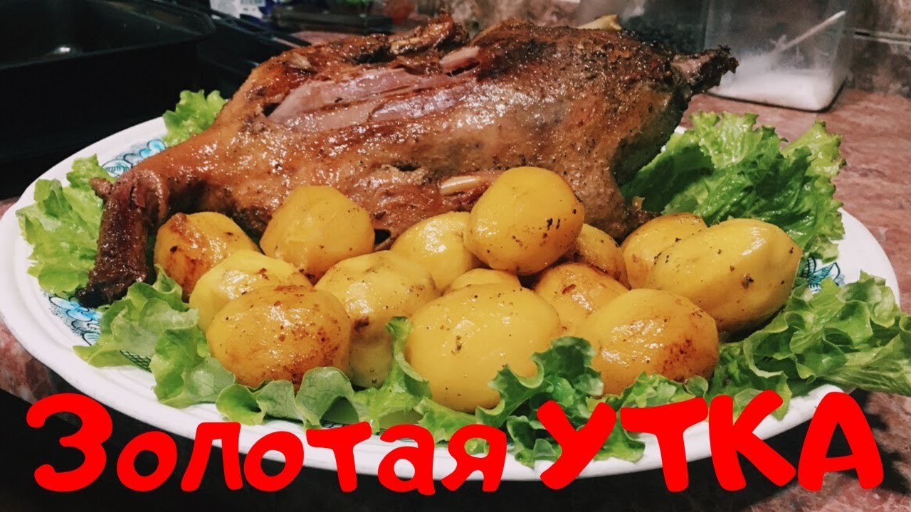 УТКА по - УЗБЕКСКИ | O’rdakni oson TAYYORLASH