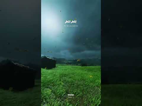 كشوق الليالي لضوء القمر