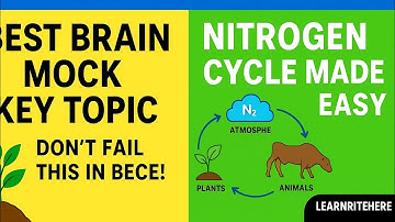 BECE 2026 Best Brain Mock  Science Key Topic Network and Nitrogen Cycle Explained