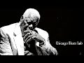Chicago Blues Lab Garden Gate Bell Official Music 2026 Old School Whiskey Blues