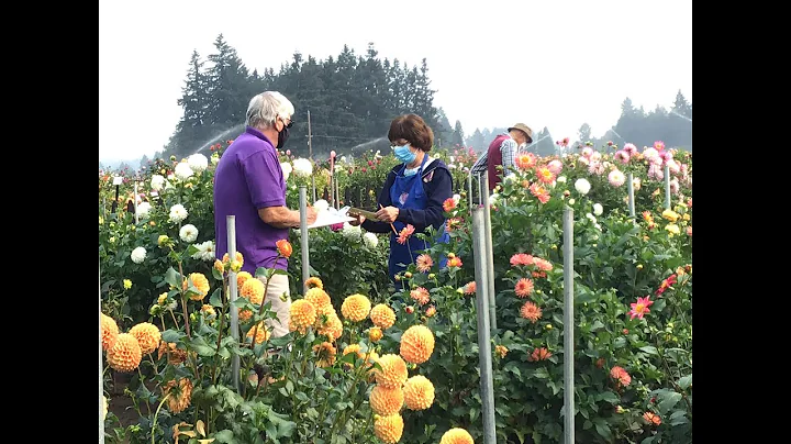 A Tour of the Canby Trial Garden