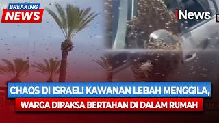 Viral Israel Diserbu Puluhan Ribu Lebah, Warga Panik Diminta Tetap Di Rumah Breaking News