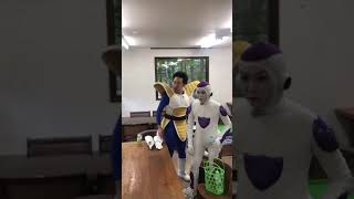 DB芸人vsふくろう #shorts
