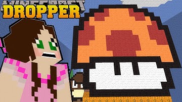 Minecraft: SUPER MARIO DROPPER!! - LIBRARY DROPPER - Custom Map [3]
