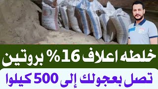 خلطه اعلاف 16% بروتين ؟ تصل بعجولك إلى 500 كيلوا Calves fattening project