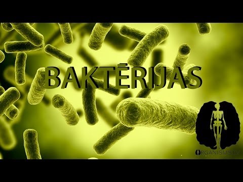 MONĒRU VALSTS - BAKTĒRIJAS - ORGANISMS.LV