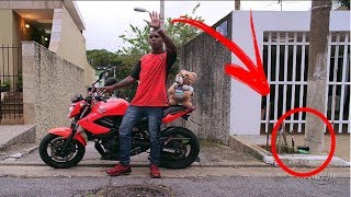 🔴 10 Coisas que Você não Viu - MC Bin Laden e MC Kekel - Agrada o Papai (KondZilla)