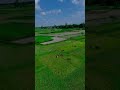 Drone shots video 👍❤️ #dronevideo #drone #dji
