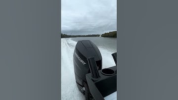 Mercury 350hp V10. Whisper quiet beast mode!