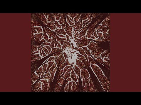 Old Soul - Trash Boat