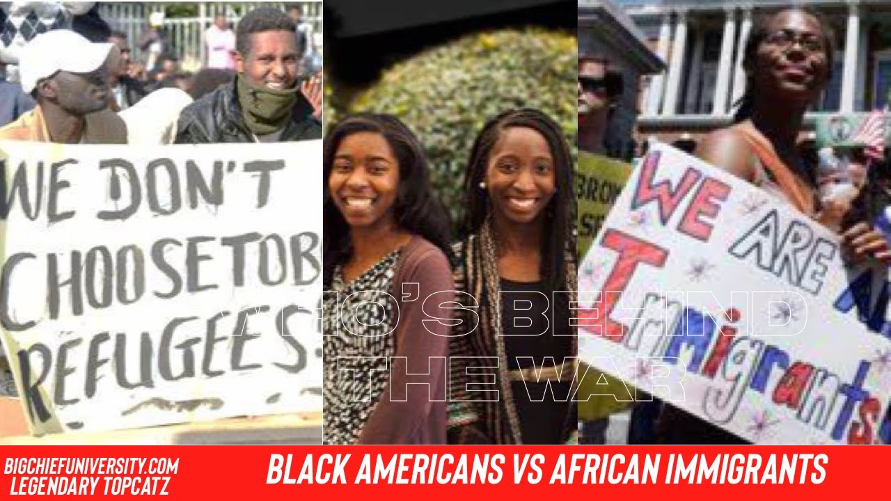 WHOS BEHIND THE BLACK AMERICANS VS AFRICAN IMMIGRANTS WAR 