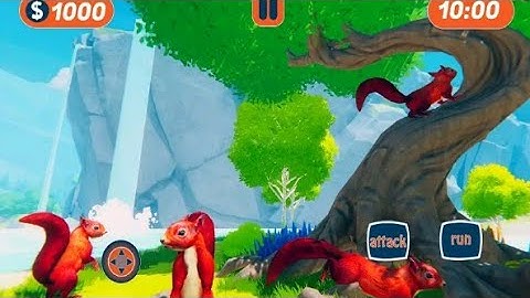 squirrel game / squirrel simulator game / squirrel android gameplay / android games
