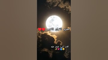 احترم القرآن الكريم ♥️♥️ #quran #القرآن_الكريم