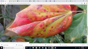 Bootstrap Photo  Carousel with Spring Boot and Thymeleaf